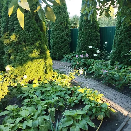 Holiday home дом готевой