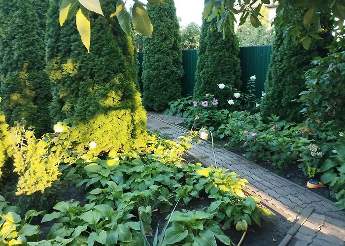 펜션 дом готевой